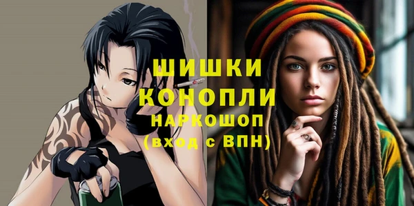 соль ск Надым